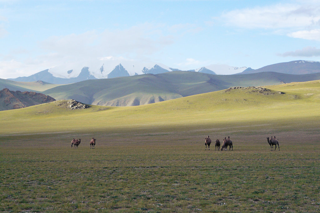 Mongolsko.jpg